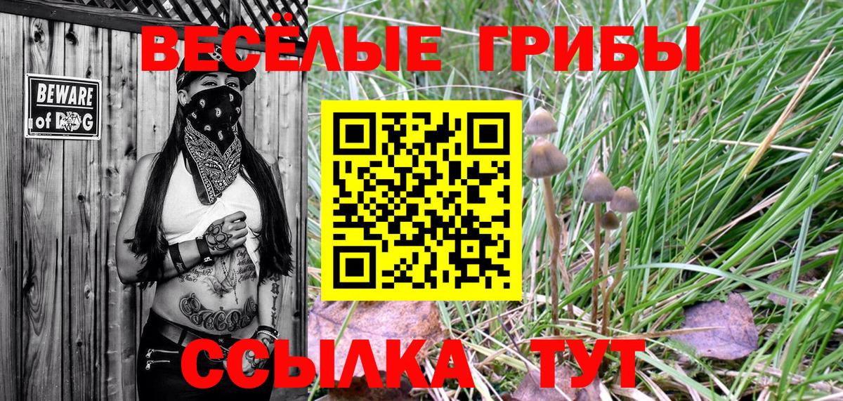 Псилоцибиновые грибы мицелий Ачинск