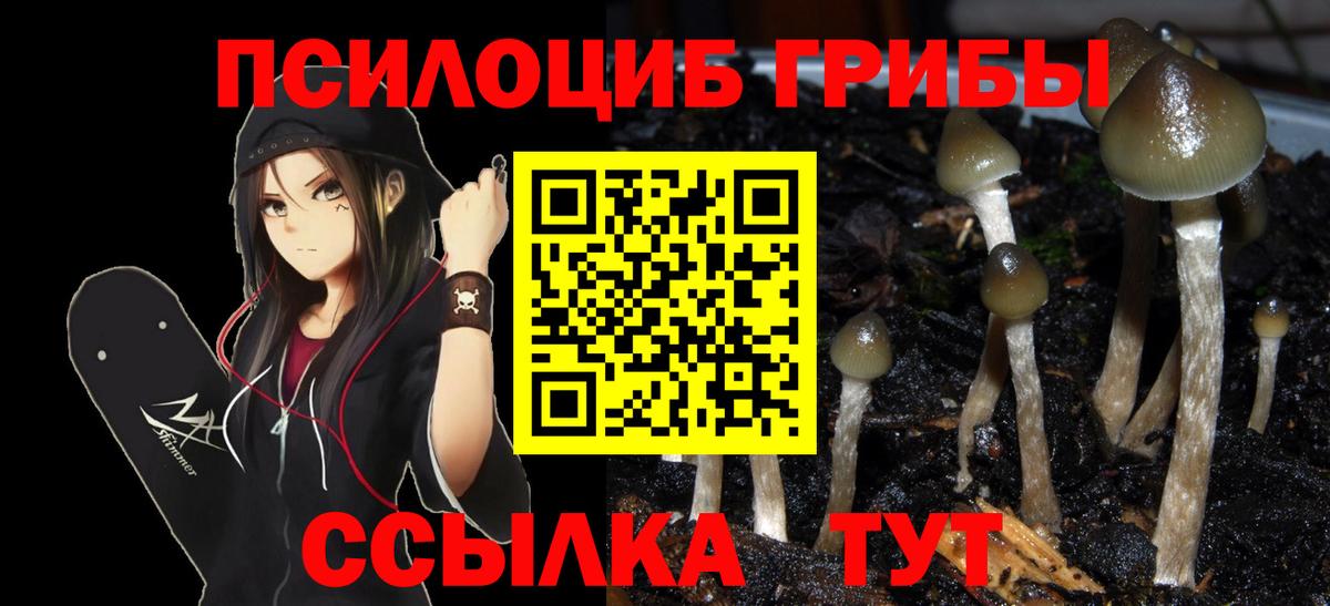 Ачинск  Галлюциногенные грибы мицелий  Вход с VPN 