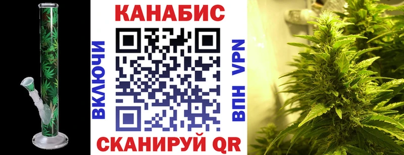 Канабис сатива где купить наркоту hydra ТОР Ачинск